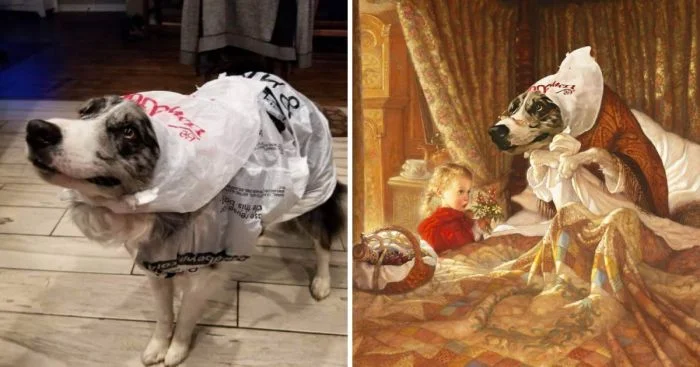 14 комичных шедевров фотошопа, созданных экспертами