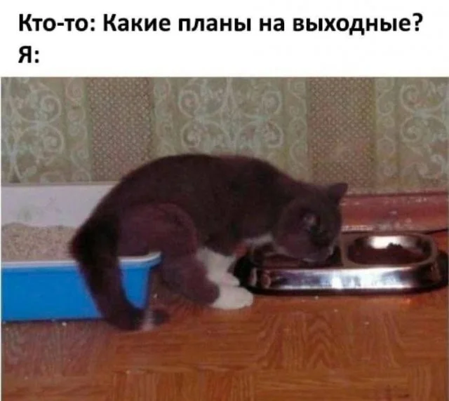 Шорты скриншоты