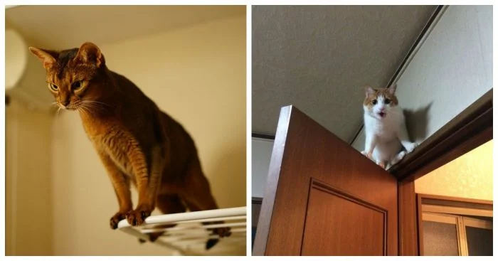 Вид с высоты