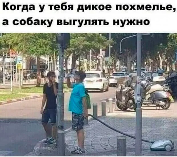 Лучшие скриншоты из соцсетей