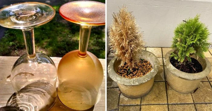 Сравнение предметов здорового человека и курильщика: в чем разница?