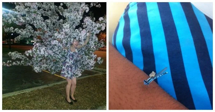 Забавные совпадения: 18+ персонажей, сливающихся с окружающей обстановкой