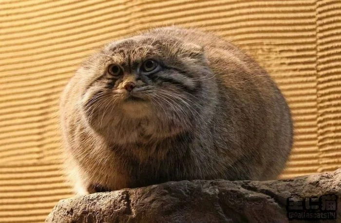 Намешалось: Красивые и интересные картинки