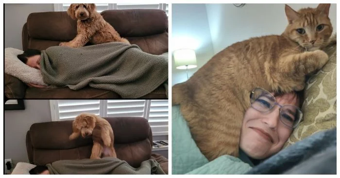 Домашние любимцы, которые умеют удивлять