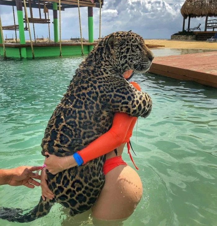 Всё вразнобой