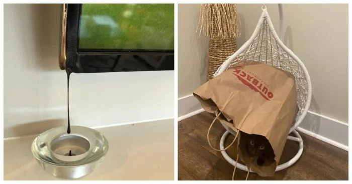 16 случаев, когда день у людей пошел не по плану