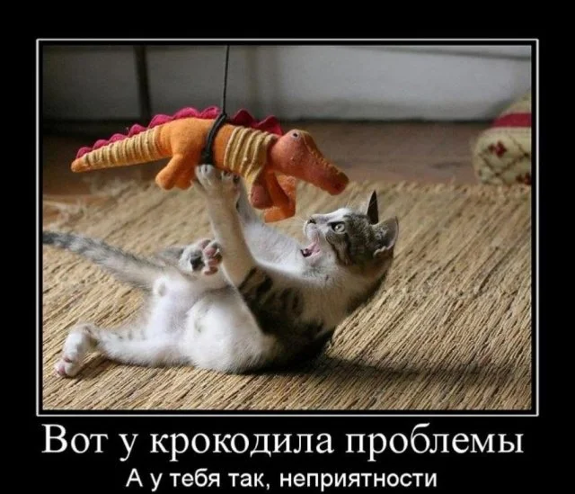 Демотиваторы