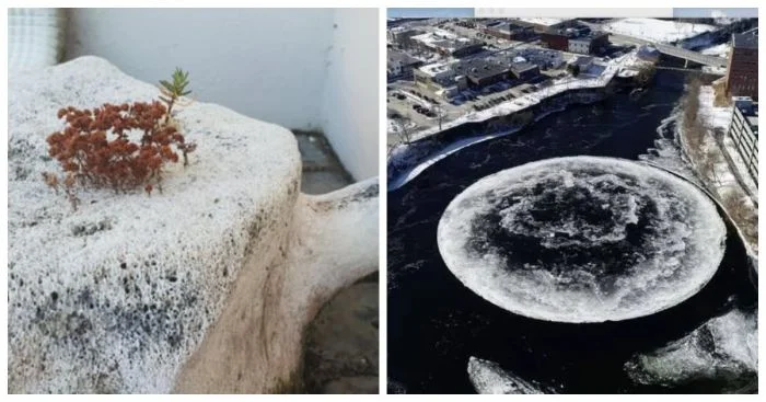 15 редких фотографий, запечатленных пользователями