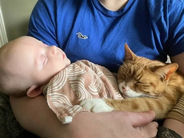 Намешалось: Красивые и интересные картинки