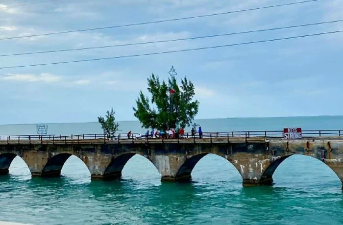 Невероятные факты из жизни