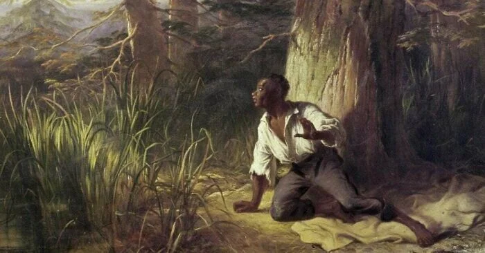 Невероятные факты из жизни