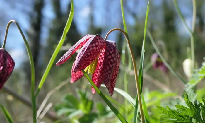 А вот на общую тему