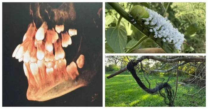 Ужасно интересно: 16 пугающих вещей