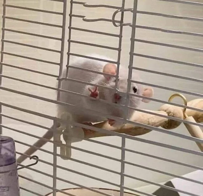 Всё вразнобой