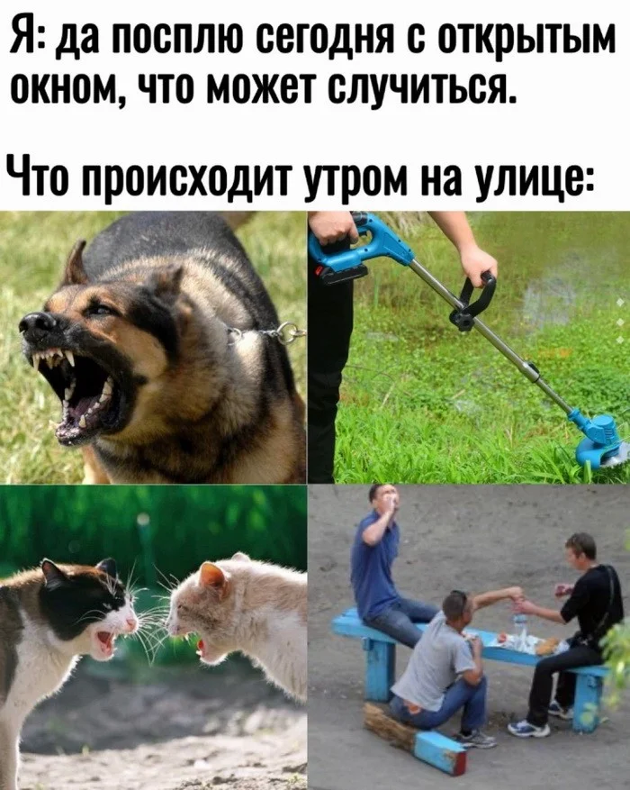 Скрины из соцсетей