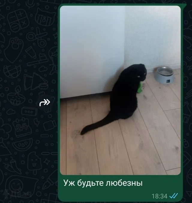 Не дождался своей порции корма