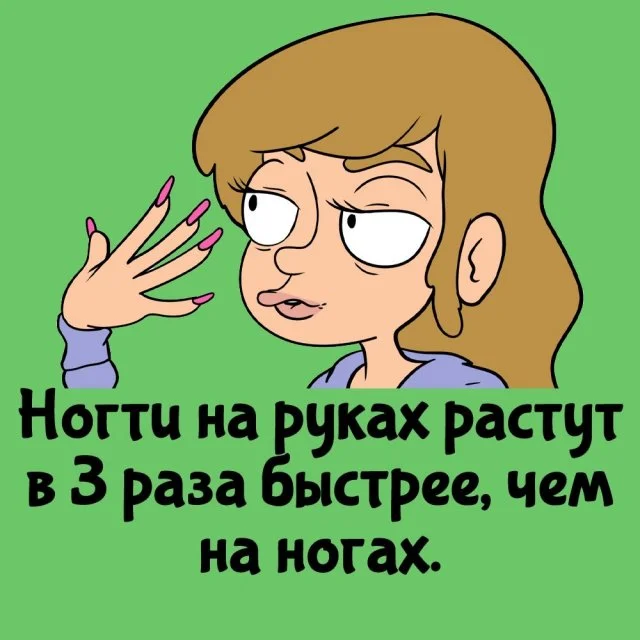 Забавные и полезные факты