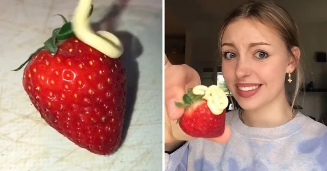 Девушка протестировала популярные вкусовые сочетания, которые предпочитают беременные