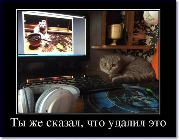 Демотиваторы