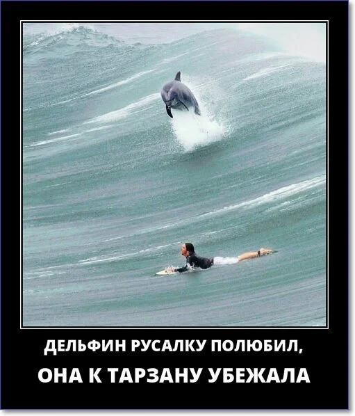 Демотиваторы