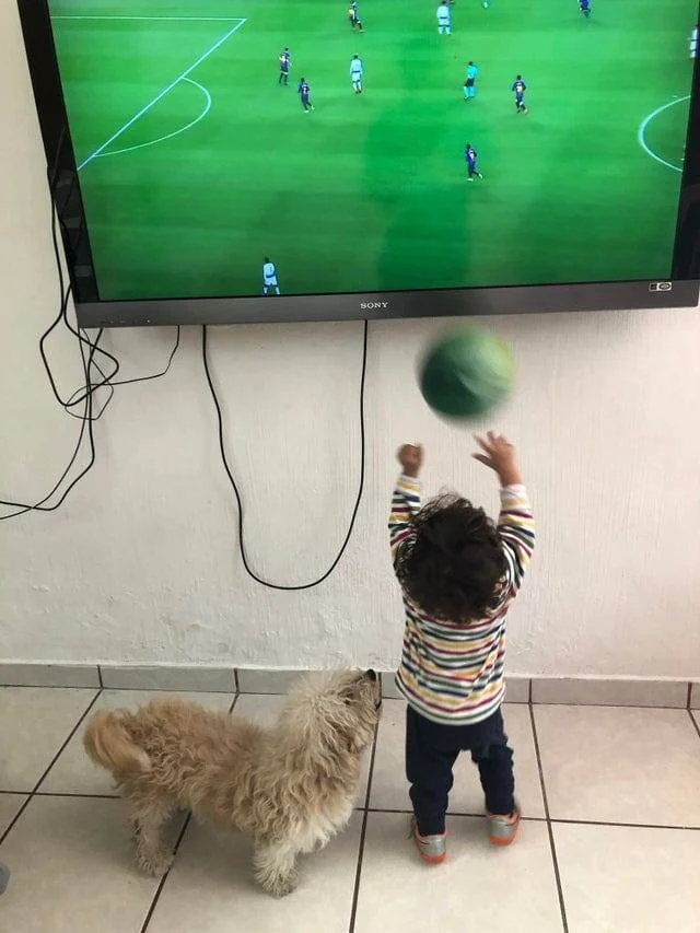 Логика детей настолько непостижима для взрослых, что она поражает