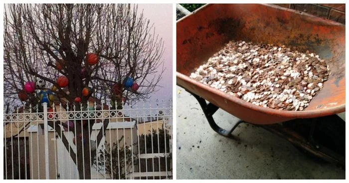 15 впечатляющих сообщений от соседей, которые невозможно не заметить