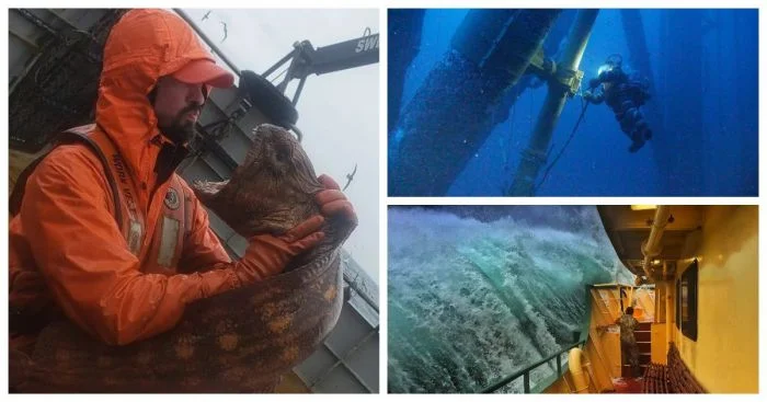 30 действительно жутких фото с рабочего места