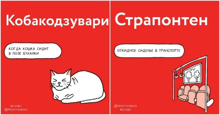 14 трудных слов, объясненных доступным языком для вашего развития