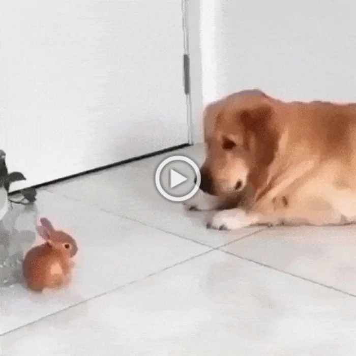 Просто гифки, всякие и разные