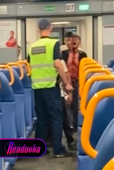 Толпа цыган устроила резню с ножами в электричке в Новосибирской области