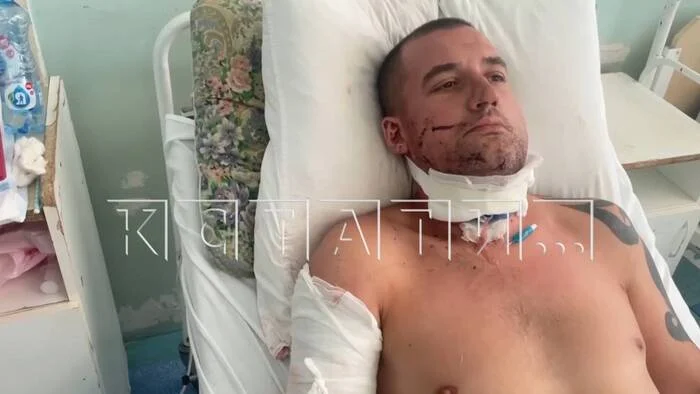 Владелица алабая натравила собаку на соседей без причины?