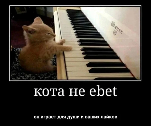 Юмор, который поймут взрослые