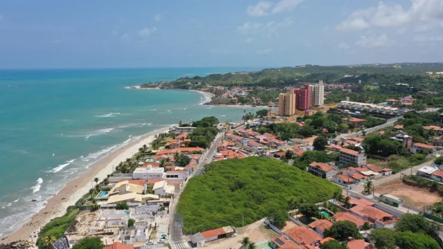 Это фото демонстрирует единственное, но самое огромное дерево кешью в мире