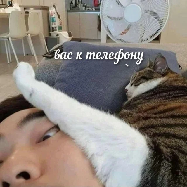 Оборжаться смещно