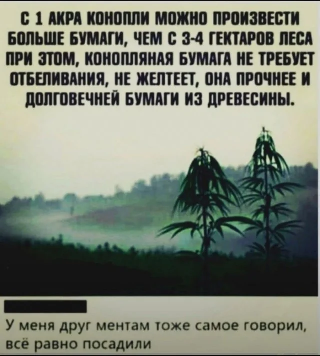 Такие вот пикчинки