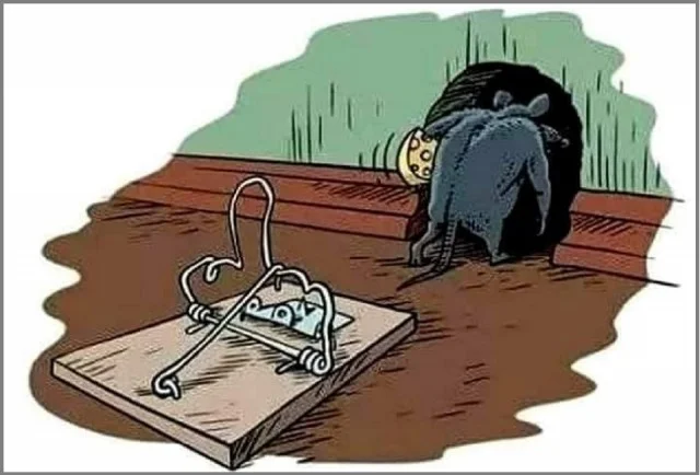 Картинки разные с надписями и без