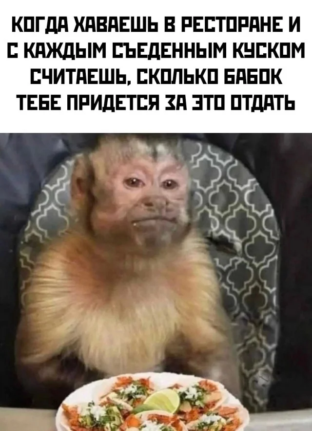 Едовые мемы