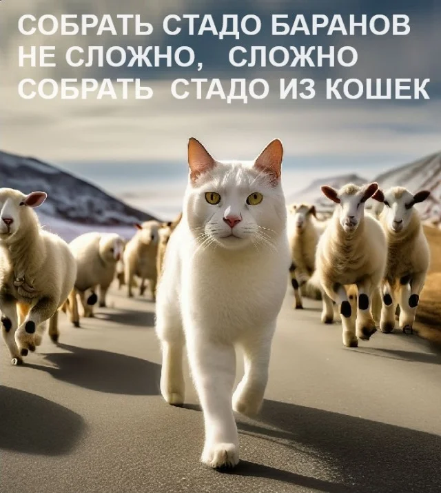 Картинки разные с надписями и без