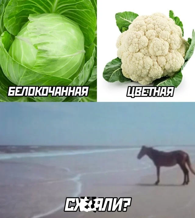 Разве не весело?