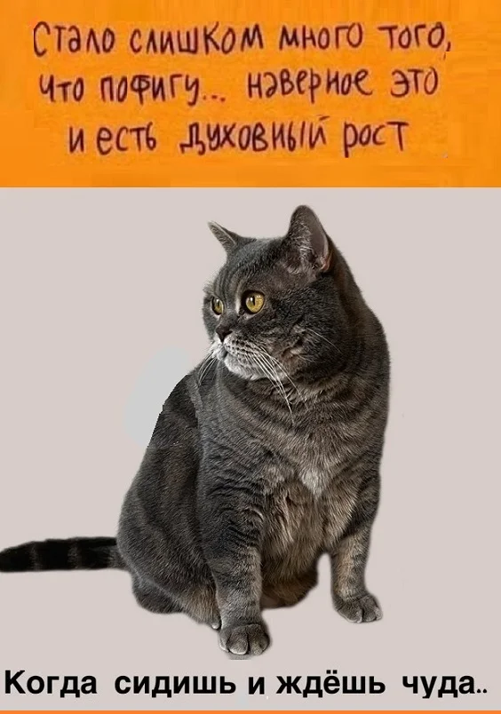 Картинки разные с надписями и без