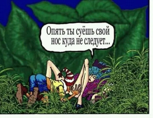 Картинки картиночки