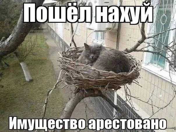 Нестандартный юмор #102