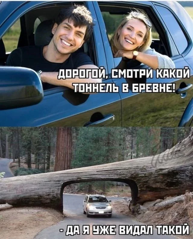 Нестандартный юмор #88