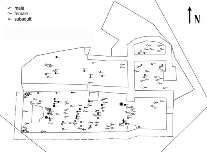 Археологическое изучение Чепинской резни XV века