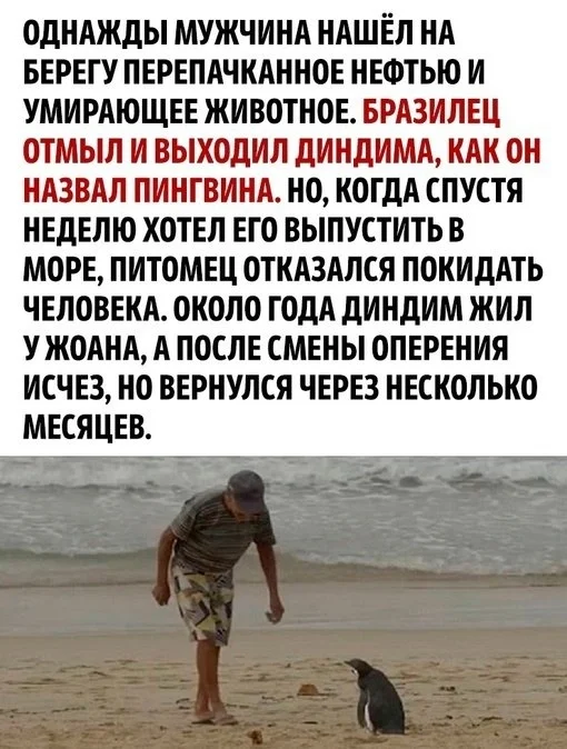 Животные помнят доброту!