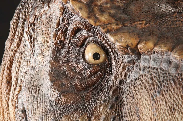 Динозавры с неожиданной стороной: Забавные и неприличные моменты