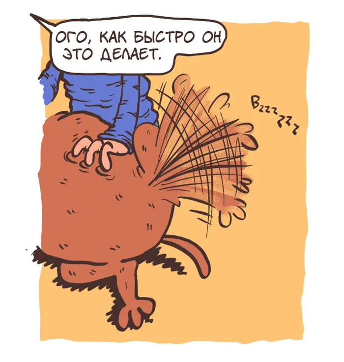 Почесульки