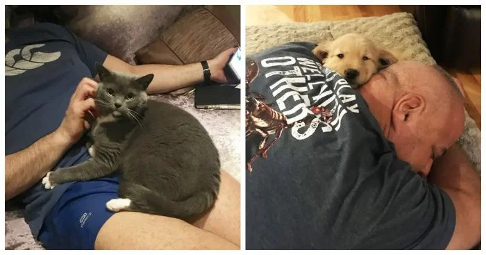 17 людей, утверждавших, что домашним животным не место в доме