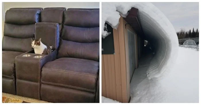 20 веселых моментов, которые показывают, что мир вовсе не так уж плох