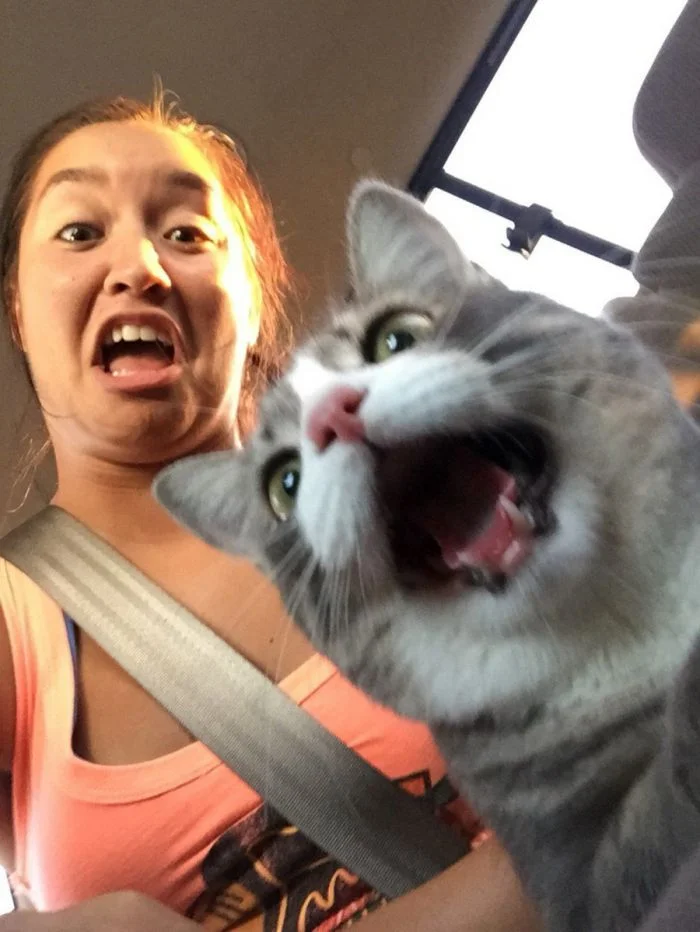 20 веселых моментов, которые показывают, что мир вовсе не так уж плох